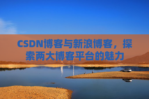 CSDN博客与新浪博客，探索两大博客平台的魅力