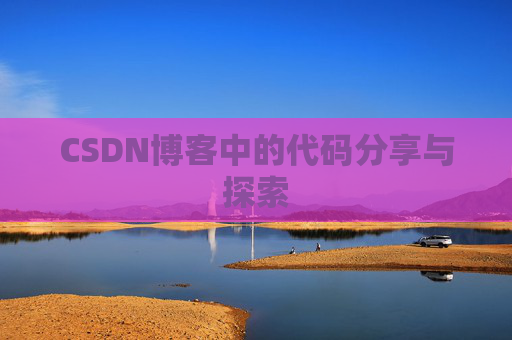 CSDN博客中的代码分享与探索